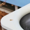 What can i expect from hvac maintenance?
